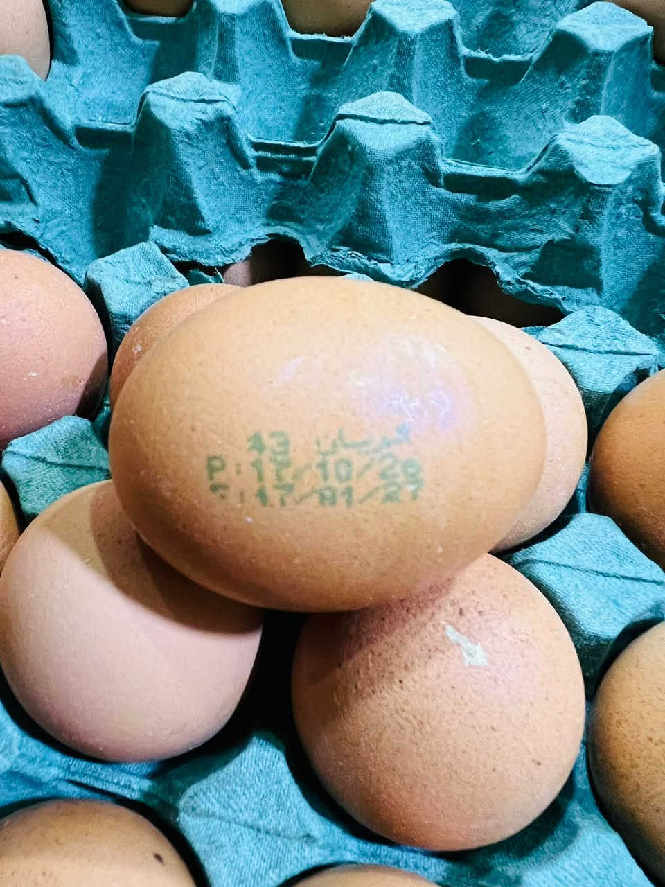 بيض الصحاري • انتاج اليوم • وزن ٢٥