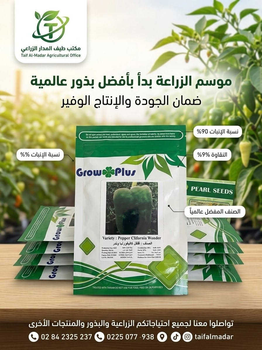 طيف المدار • قرية العباس • بذور ف1