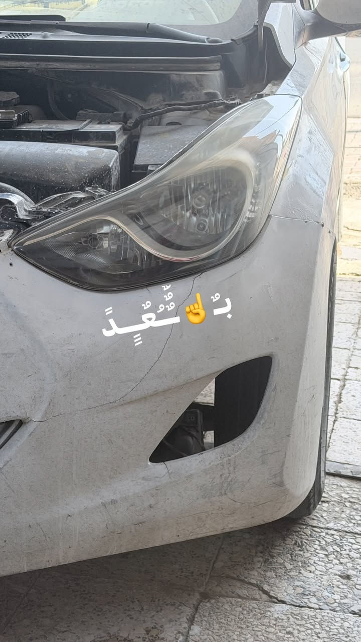 نوفس • جلي لايتات • ضمان سنة