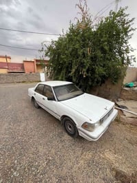 يسار اصلي • ١٩٩١ • مكفوله