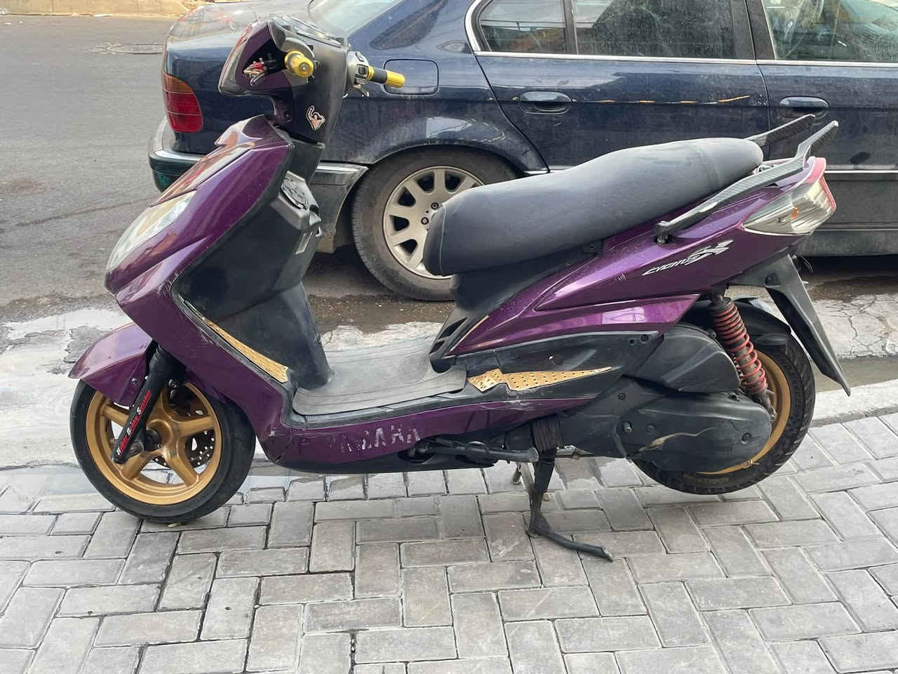 سكنس فحل • كابريتر • مكفولة