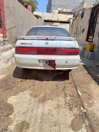 كرسته كصيف • سنوية مجددة • عليه مجال