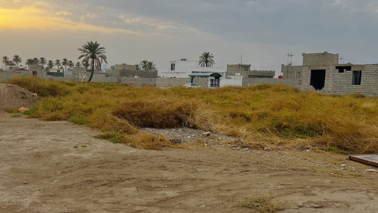 الضلوعية الحاوي • ٥٥٠م • سند ٢٥