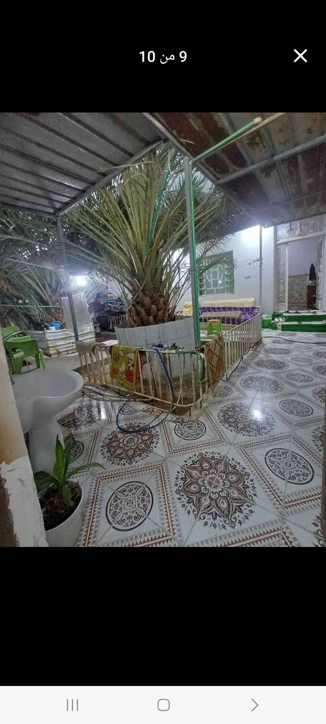 أبي الخصيب • ٣٥٠م • طابو زراعي