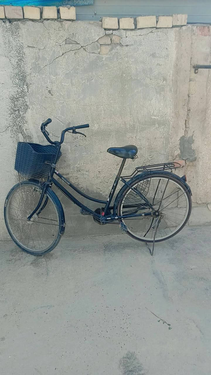 بـايسكل درجة أولى للبيـع 🚴‍♂️🚴‍♂️🚴‍♂️
وبسعـر مناسب جداً $
سريع  ،  نظيف  ،  تايرات جدد ❤
تكدر تروح بيه للمدرسة 🏢
تكدر تروح بيه للعمل في المناطق القريبة 🌿  
تكدر تروح بيه المشاوير القريبة والمستلزمات المنزلية ⭐
🌼سعــره  ((  75،000  ))  الف دينار وبيه مجال للطيبين🔥❤

🏆 للتـواصل  واتساب📳  :  *********** يونس 🏆
