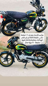 بوكسر • كلاسك • مرقم