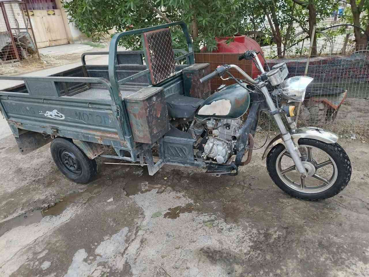 ستوته • 2019 • مجفته