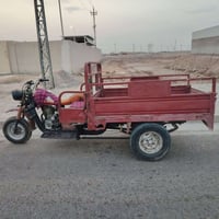ستوته • للبيع • سنويه