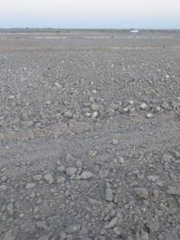 صوب بني ركاب • ٣٣ دونم • زراعية