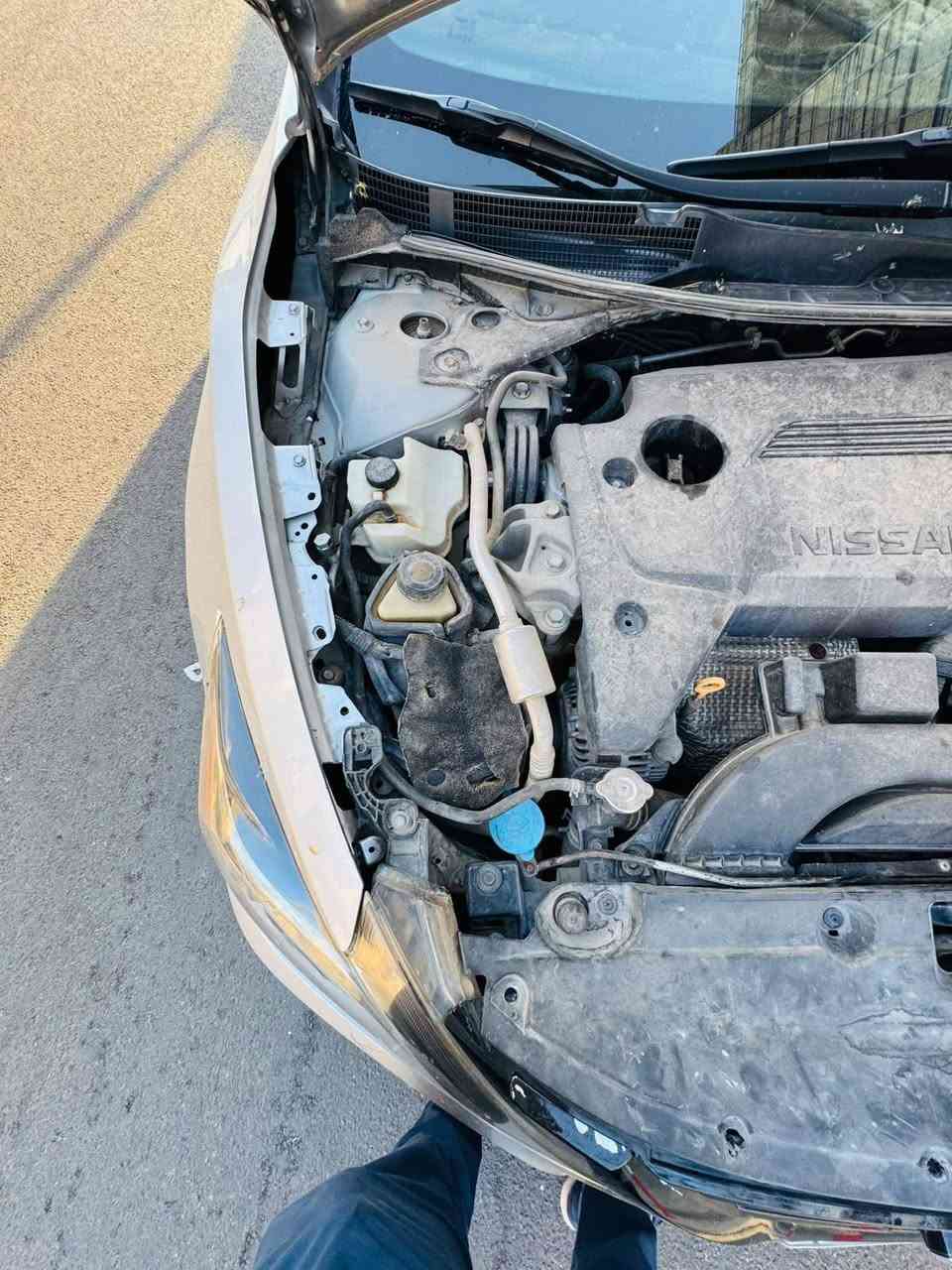 السلام عليكم، والله يعم عليكم السعادة والبركة 🌹

🚘 نيسان ألتيما SV 2018 للبيع

سيارة نظيفة ومعتنى بيها، جاهزة من كل النواحي، والتحويل مباشر باسم المشتري.

• الموديل: Nissan Altima SV 2018
• المحرك: 4 سلندر – 2.5
• الممشى: 80 ألف ميل
• المالك الثاني للسيارة
• سبير ما نازل
• السيارة معتادة كاملة
• كيل ومكينة كفالة
• أرقام بغداد إنكليزي
• السنوية والهزة والأرقام وكل المعاملات مجددّة قبل شهر رقم بغداد
• السيارة باسمي والتحويل مباشر باسم المشتري
• ما عليها أي غرامات – كلها مصفّرة
• نظيفة جداً ولوكها مرتب، وما بيها نقص برغي
115 ورقة وبيها مجال حك الجية
1N4AL3AP1JC247087 رقم الشاصي

السيارة جاهزة للمعاينة، والحكم بعد الفحص.
للجادين فقط، المعاينة خير دليل.
***********
