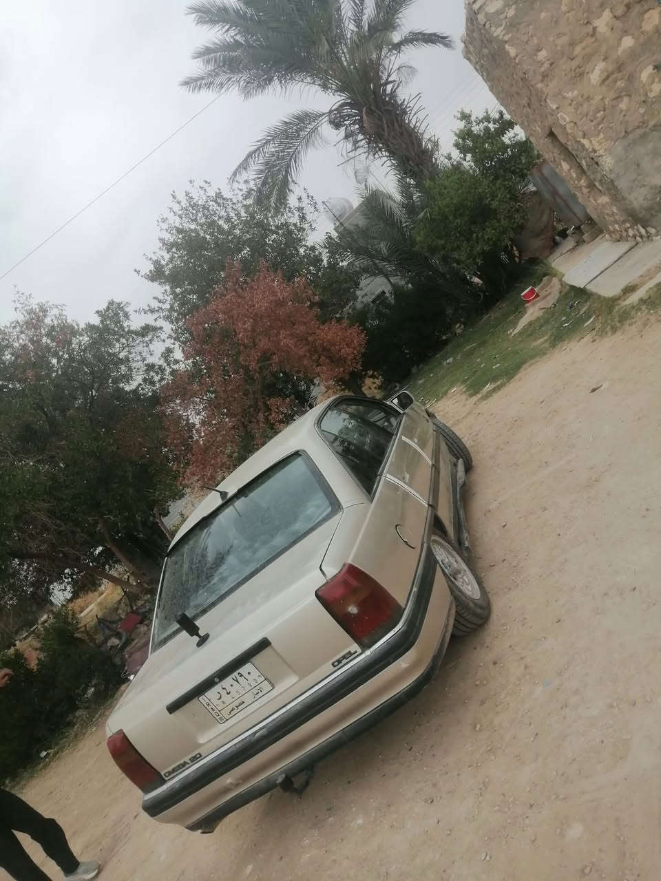 اوميكة • ١٩٩٣ • رمادي