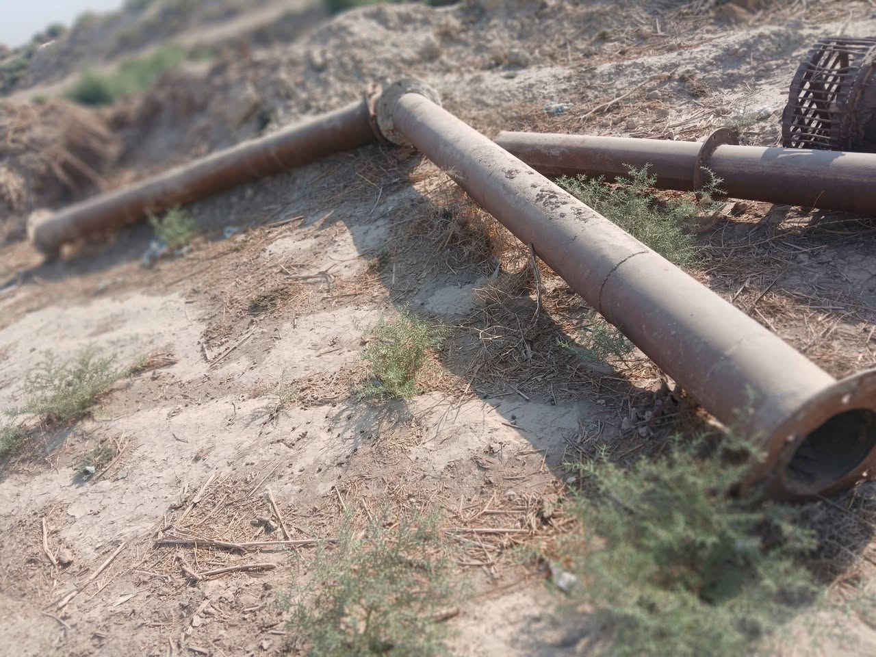 ماطور ابو ٥٠ • خنزيره ٨×١٠ • الديوانية