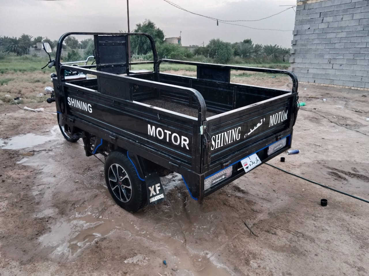ستوته جمره • فحل • ٢٠١٩