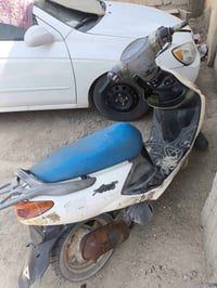 اكزز • شغالات • طويريج