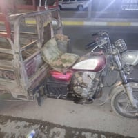 ستوته • ٢٠١٧ • بدون أوراق
