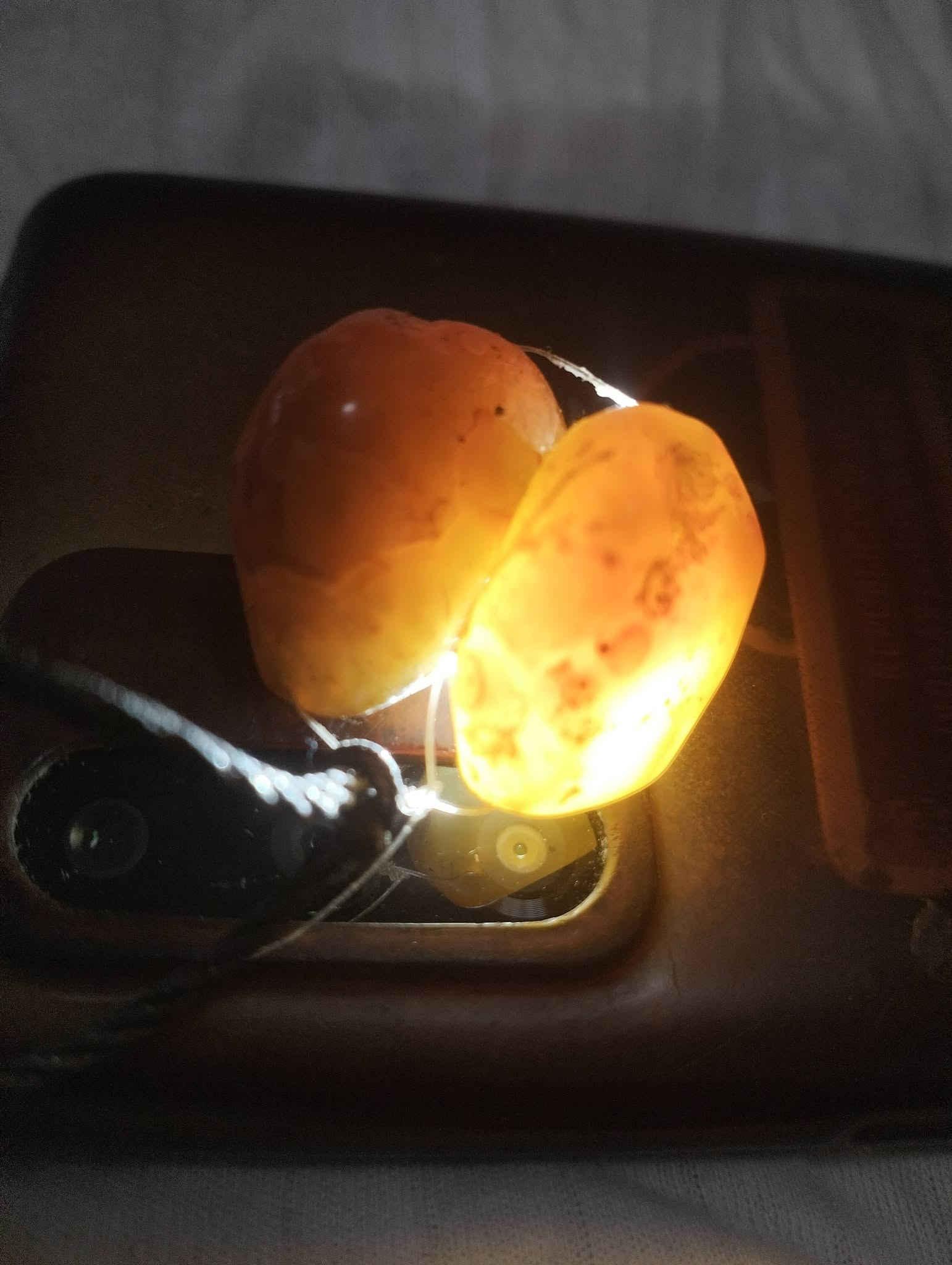 ناصرية *********** واتساب

