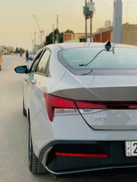 النترا • ٢٠٢٤ • ماشية ٣٥٠٠٠