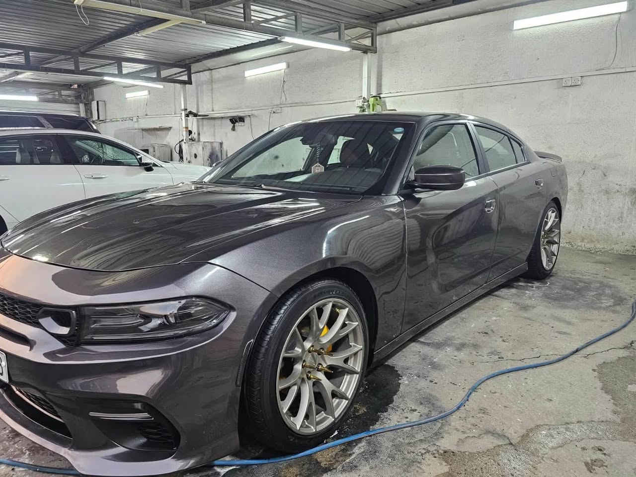ارخص سعر بلعراق بيع مستعجل
دوج تشارجر 2015
استخدام شخصي
محرك 3600
رقم شمالي تحويل ثاني يوم
لون نفطي
ماشية 95 ألف ميل
مبرمج مراوح وفاتح قفل السرعة وخير من الله
حادثها بنيد وجاملغ
وبالعراق بيها طخة خفيفة بنص باب السائق
الجاملغ الأمامي مرشوش
رقم الشاصي مذكور بالصور
وارد أمريكي

السـعـر 150

مكاني : بغداد
رقم صاحب السيارة : ***********
