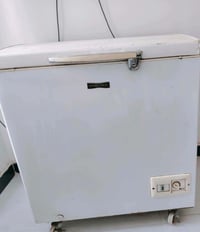 مجمدة • للبيع