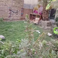 نهضه ثالثه • قرب سوق أبو جميغ • ٤٠٠م