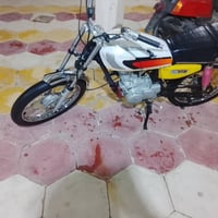 موديل ١٩ • بدون اوراق • محرك جديد