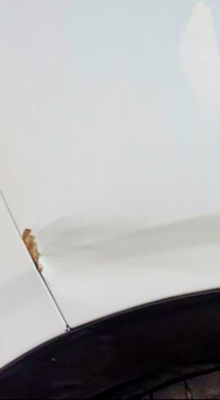 السلام عليكم كيا سبورتج موديل 23. خليجي ماشيا 36 الف. حقيقي سياره جديده مال بيت مكاني بغداد الجديده. النعيريه بيها طخه كد شبر مصورها  السعر 195 وبيها مجال. الشراي يدلل هاتف ***********
