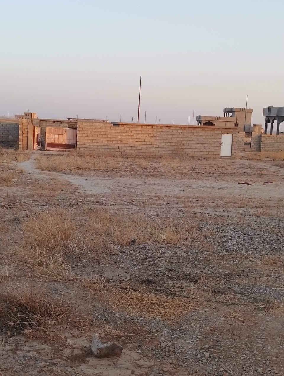 قريب محطة الرملي • واصلة كهرب ومية • حقل أبقار