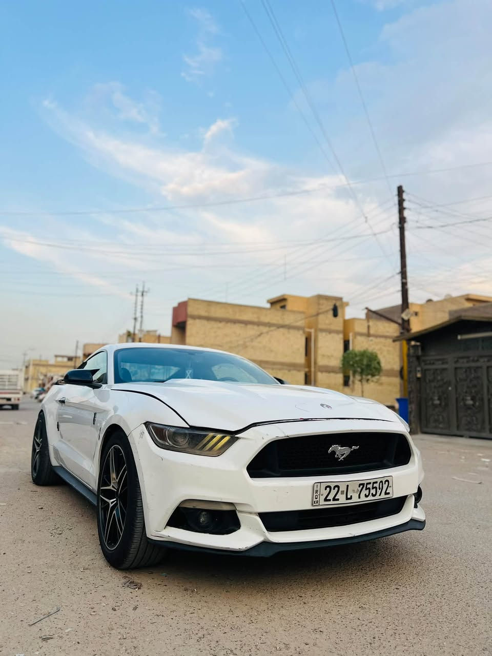 موستنك • ٢٠١٧ • ضرر