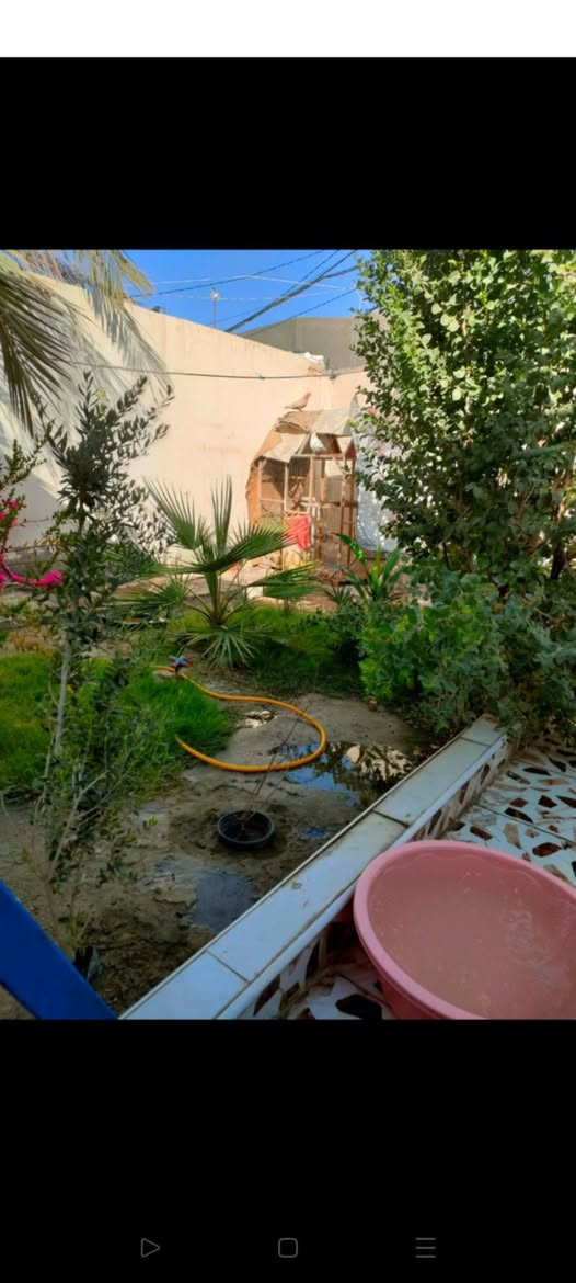 بيت بحي العزل مساحتة 133قريب عشارع يمة خدمات ومحلات ومدرسة تفاصيل غرفة وهول ومطبخ وصحيات خارج وداخل وطارمة وحديقة كبار طابو زراعي سعر خفظنه السعر ٢٦ اوبيها مجال مجال اي استفسار ***********
