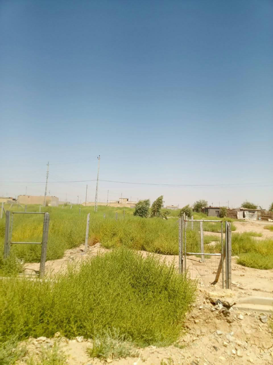 بوب الشام • ١٠٠م • سند ٢٥