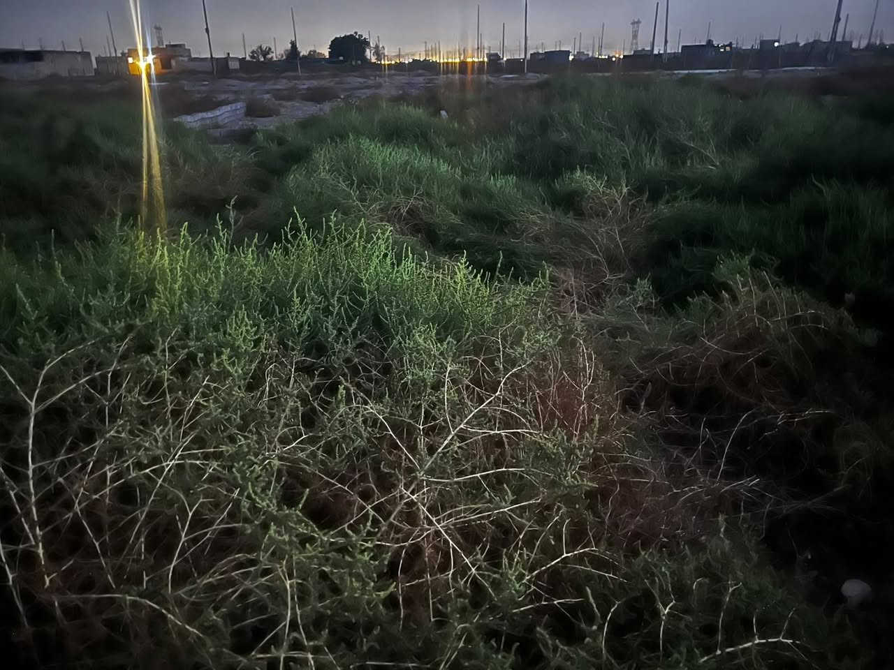 السلام عليكم قطعه 100 متر 20×5 بوب السام شارع المدارس ثالث فرع دونم رقم 6 سعرها 7 ملايين وبيها مجال بسيط محتاج واريد ابيع 
للاستفسار . ***********
