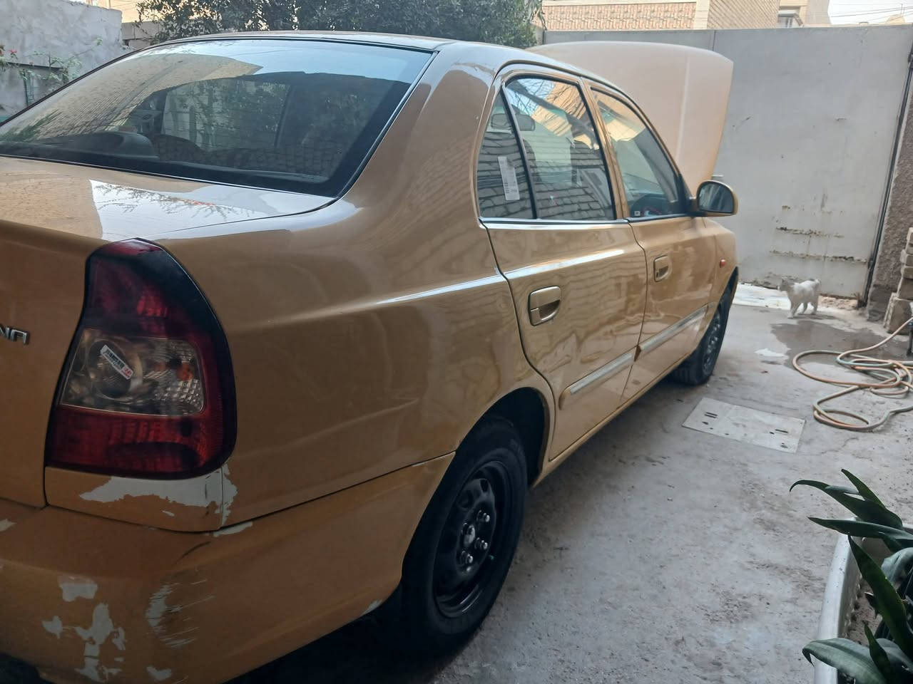 فيرنا • ٢٠١٤ • بلادية