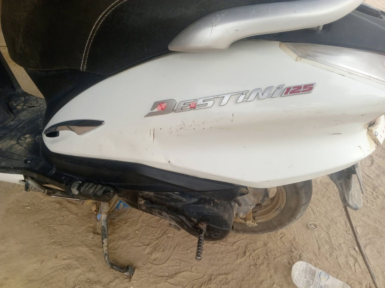 هندي • شغاله • حله
