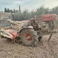 رفاسة ينمر • ياباني • نضيفة