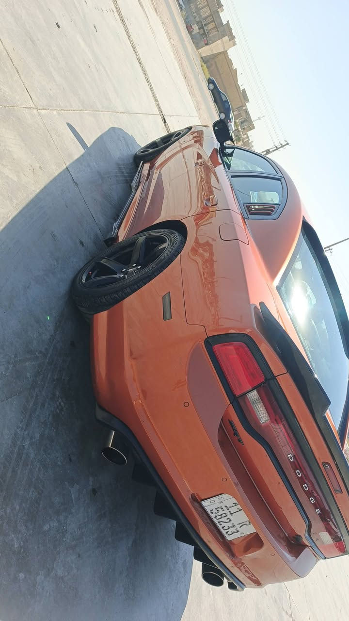 للبيع 🚨
دودج جارجر 2011
مكينة 5.7 هيمي HEMI اصل

المواصفات:
- فول 1/1 
- فتحة سقف
- شاشة كبيرة
- نيموري + كشنات حضن
- كشنات تخزين 
- كشنات تدفئة دركة + تدفئة ستيرن
- عينة 260 درجة مئوية
- دبابات 
- صوت
- رادار امامي

تفاصيل السيارة:
- حزام صبغ فقط
- بغداد باسمي 
- محولة باسمي صارلها 5 ايام فقط
- السيارة نظيفة وجاهزة ما محتاجة شي

السعر: 125 ورقة $ 
مجال للشراي

للاستفسار: ***********
الشراي الجاد فقط
