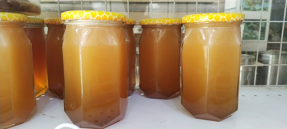 عسل سدر • من مناحلنا • توصيل