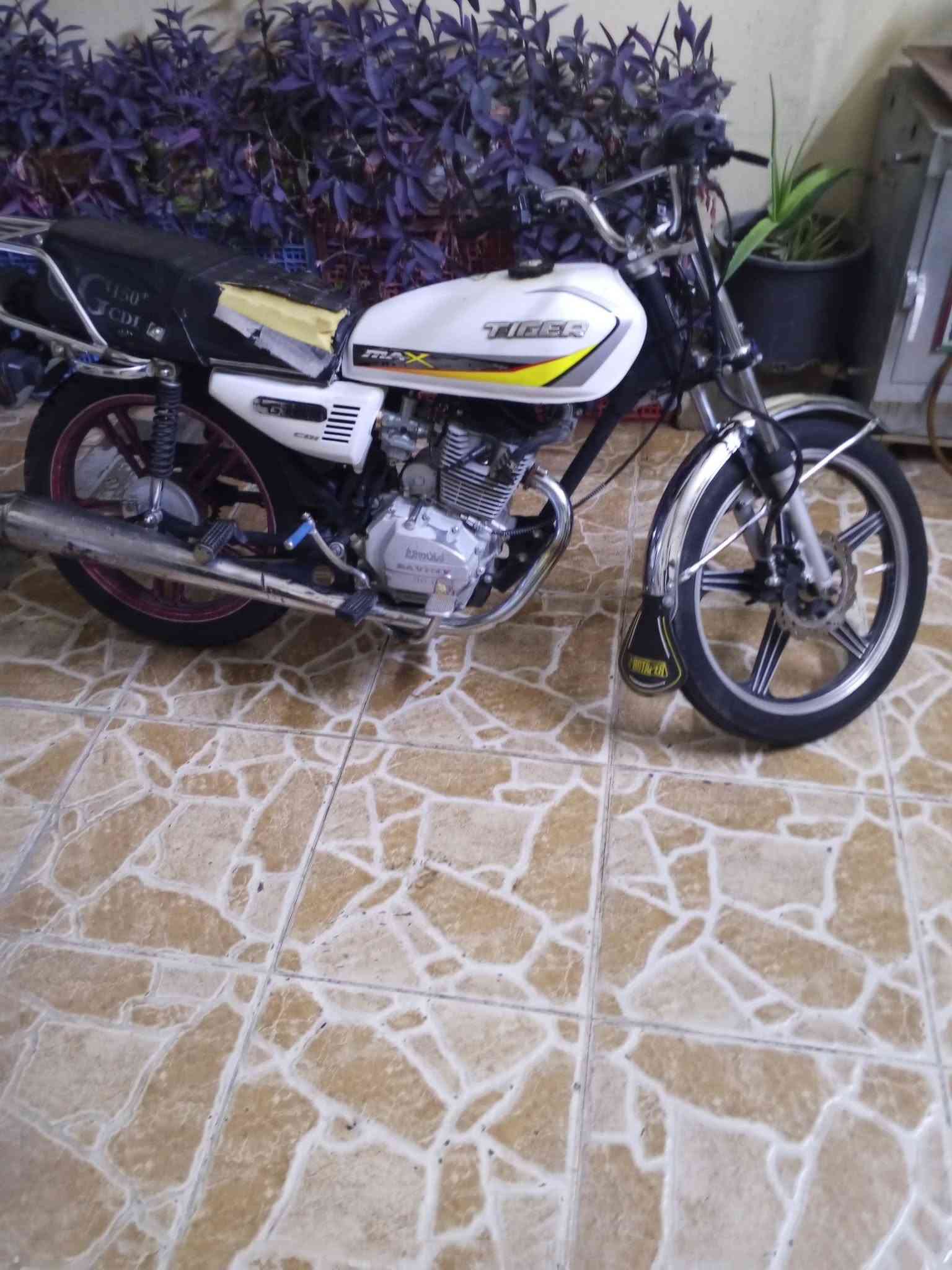 سابين • خمسه قير