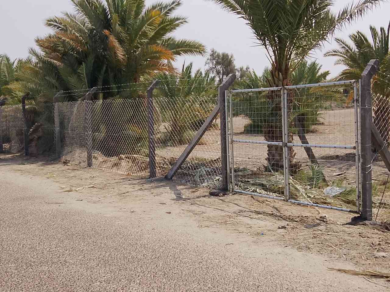 🟣تعلن شركة بابل لاسيجة البيارسي ⁦🟣
🔻عن عمل ونصب جميع انواع اسيجة الBRC ⁦⛏️⁩
🔻وعن عمل جميع انواع الاسيجة العشبية الجميلة 🍀🍀
🔻سعر المتر من 6الف 💸الى 10الف 💸حسب الطلب وحسب نوع السيم ⁦⚒️⁩
🔻يوجد كادر مختص بالعمل 💪
🔻نعمل في كافة محافظات العراق 🚛⁦🚛
🔻للطلب او الاستفسار قم بمراسلة الصفحه او اتصل على الارقام ⁦⬇️⁩
***********
كروب عمل بيارسي سعار مناسبه
