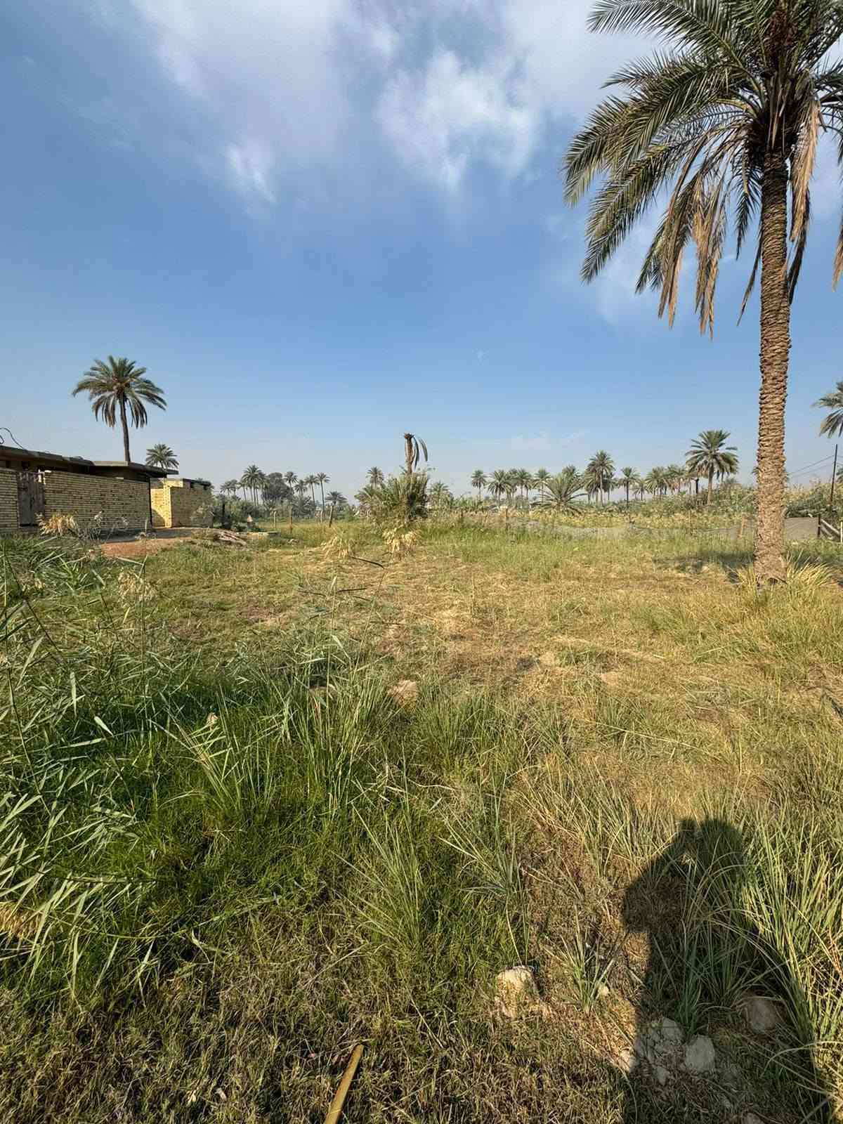 ٤ونص دونم • طابو زراعي سند ٢٥ • طوريج الخيرات