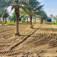 أرض • متوفر