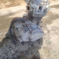شغال • راعيه