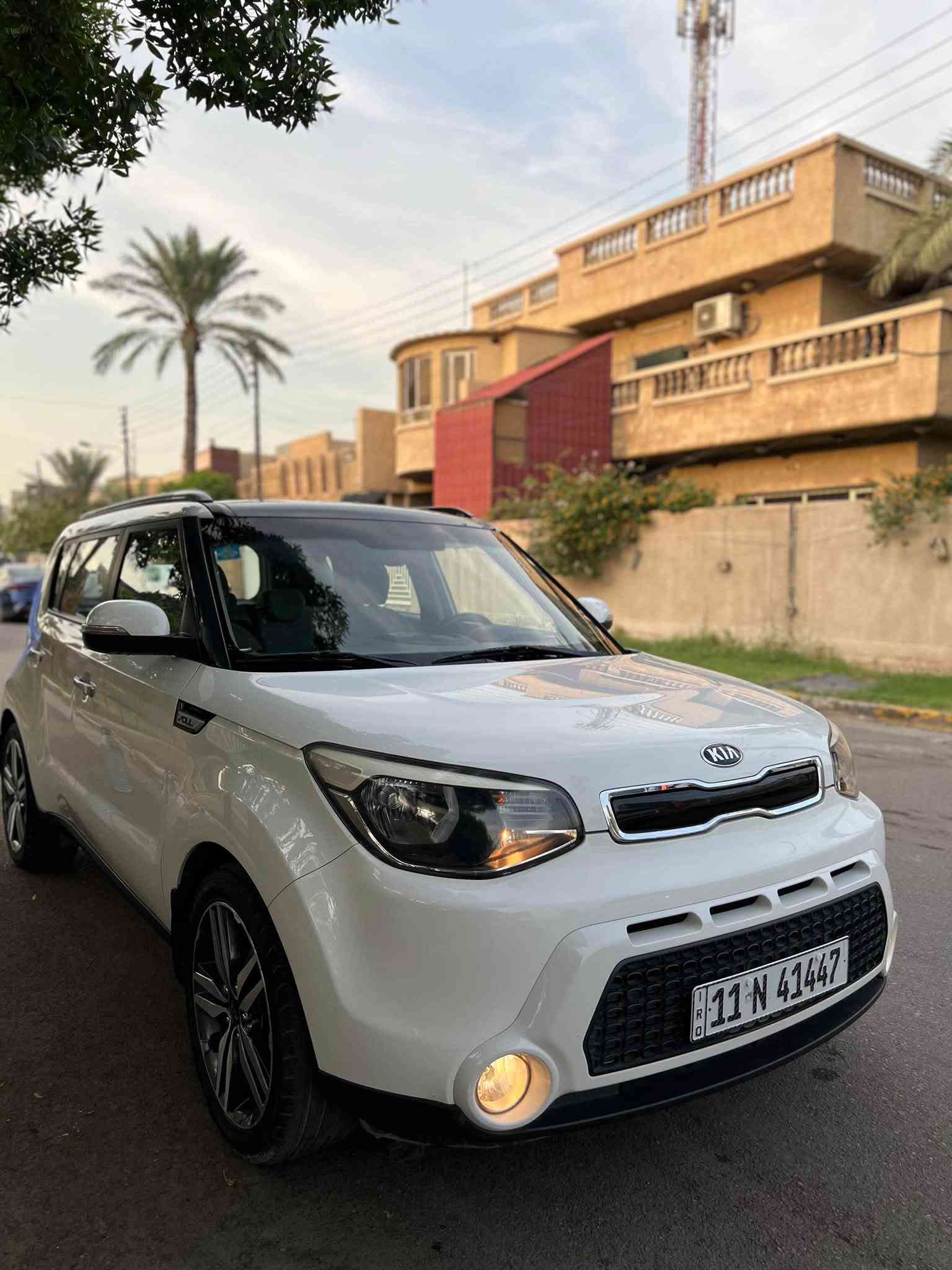 فول ١/١ • ٢٠١٦ • بدون صبغ