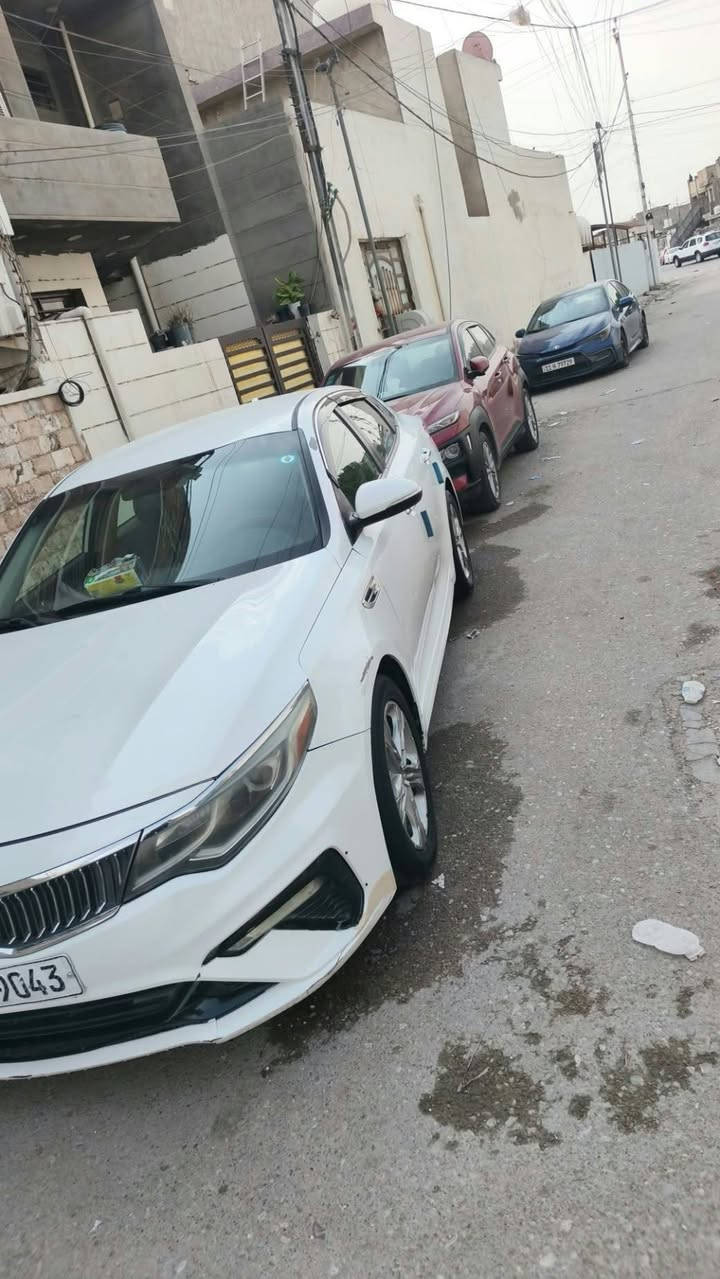 اوبتما • ٢٠١٦ • صبغ عام