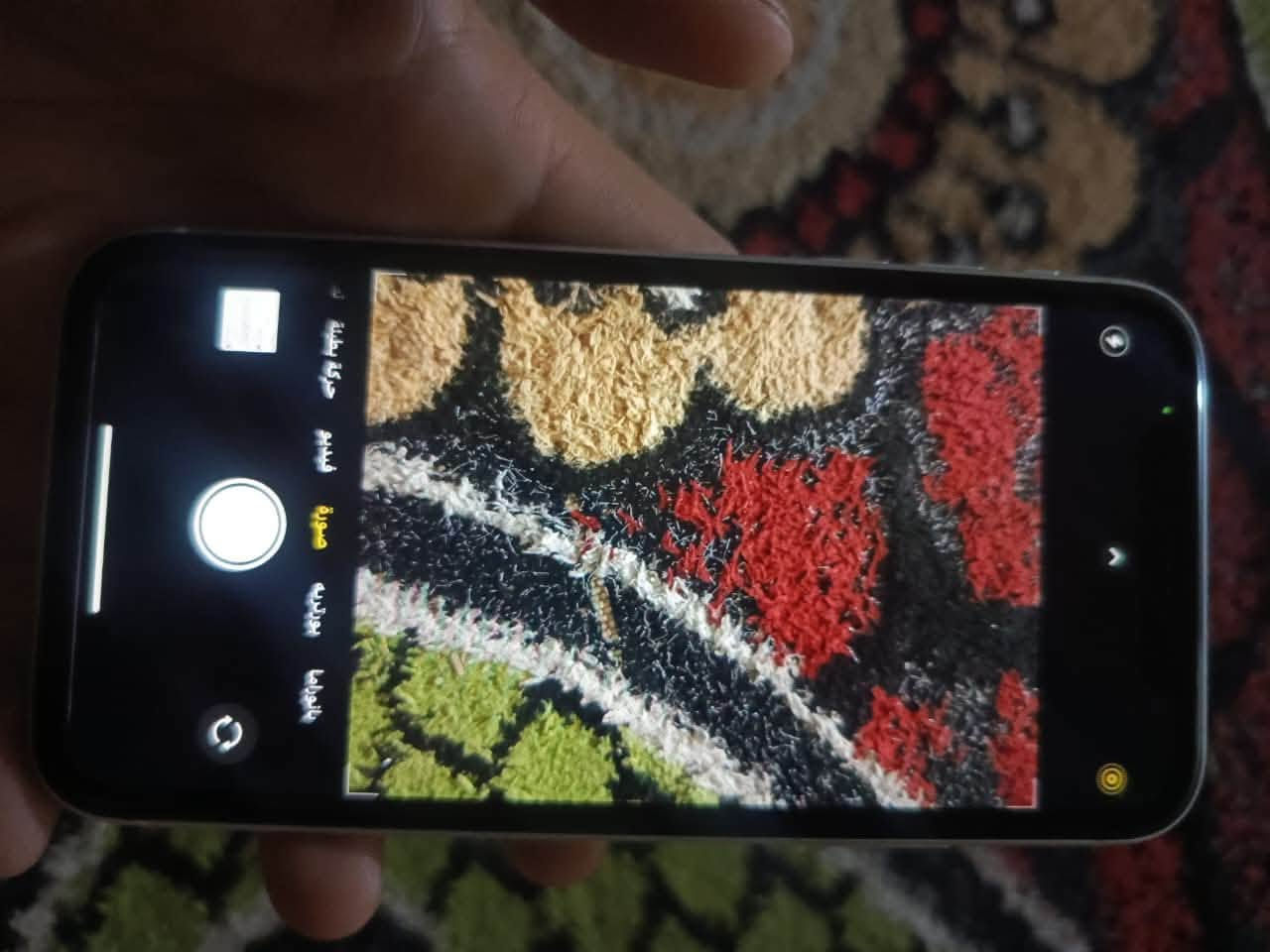 آيفون XR • ٢٥٦ • فيس ايدي معطل