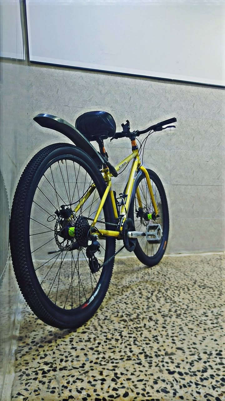 🚲 دراجة Cannondale للبيع 🚲
الماركة: كانونديل (Cannondale)

الحجم: 29.... 

الكير: 3 × 8 =... 

ديسكات: أمامي وخلفي.. 

الإطار: ألمنيوم.. 

فول مواصفات.. 

الحالة: نظيفة وجاهزة للاستخدام.. 

💰@المكان موصل جانب الايسر... 

الاتصال بل رقم /***********/؟؟ $$
