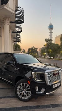 دينالي • ٢٠٢٤ • مغلف PPF ١٠ سنوات