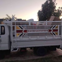 للضلوعيه • باجر • حمل