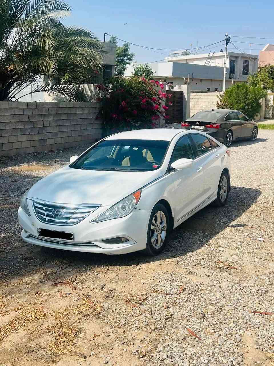 سوناتا • دخول جديد • ديالى