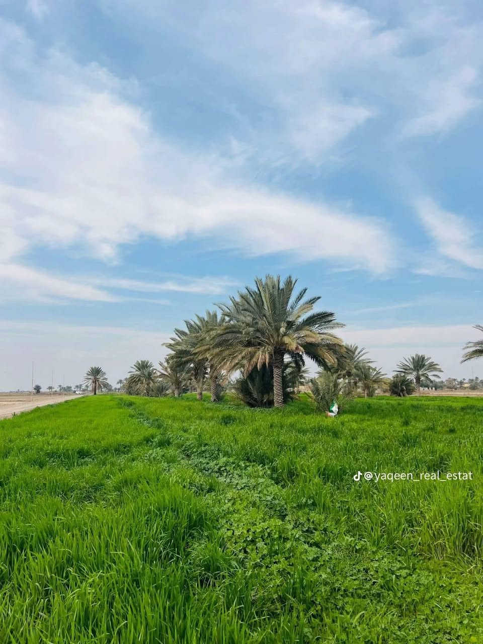 السلام عليكم 
عروض الاراضي الزراعيه الدوانم والاراضي السكنيه الطابو ملك صرف المساحات من دونم واحد الى ٢٠٠ دونم مناطق
 طابو زراعي سند ٢٥ يعني الارض تتحول بسمك الاسعار من 35مليون الى 70مليون 
🏡 دوانم طابو زراعي باسعار مميزة  ومعزولة في المناطق التالية:-
1 . الشيحة
2.السميلات
3.مناصير 10
4.عكركوف
5.جسر ماجد
6.الكويتيين
7.البصام 
8. منطقة ابراهيم ابن علي
💎💎 اشتري راحتك وراحة عائلتك👨‍👩‍👧‍👦 ضمن ارض معزولة  وهادئة وتحتوي   كافة الخدمات الاساسية من مدارس وتبليط واسواق وصناعي وتجاري  💎💎
مواصفات الاراضي
✅ الدونم يحوي كافة الخدمات الاساسية ( ماء 💧 + كهرباء ⚡️ + تبليط  ) 
✅ الدونم معزول عن الاراضي المجاورة 
 ✅  مشروع استثماري في بغداد  ) 
✅ الاراضي صالحة للبناء ووحدات سكنية كبيرة مجاري مستمر العمل بيها ميداني والمستشفى قائم العمل بيه يعني منطقه متكامله من كافة الخدمات مدارس حكوميه اهليه تبليط اماكن ترفيهيه 🙂
 للاستفسار / ‬
***********
‭***********‬
***********

