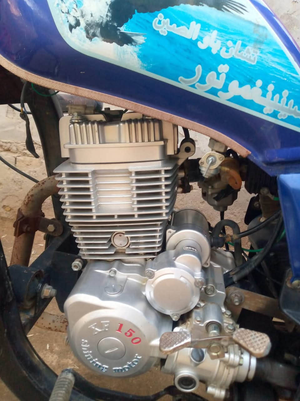 ستوته • موديل ٢٣ • جديده مكفوله